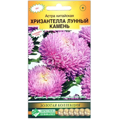 Астра китайская Хризантелла лунный камень