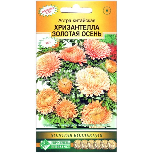 Астра китайская Хризантелла золотая осень