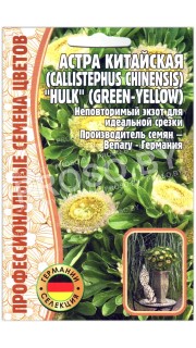 Астра китайская Hulk green-yellow