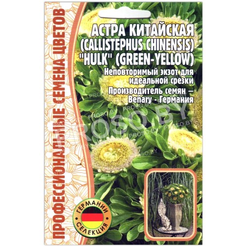 Астра китайская Hulk green-yellow