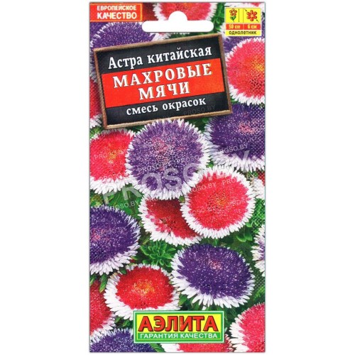 Астра китайская Махровые мячи, смесь