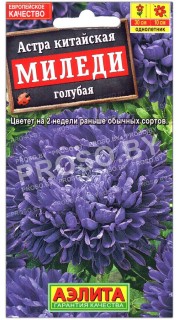Астра китайская Миледи голубая