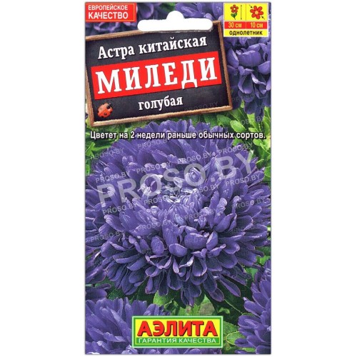 Астра китайская Миледи голубая