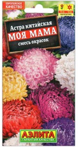 Астра китайская Моя мама, смесь