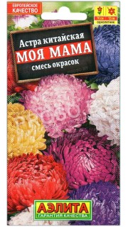 Астра китайская Моя мама, смесь