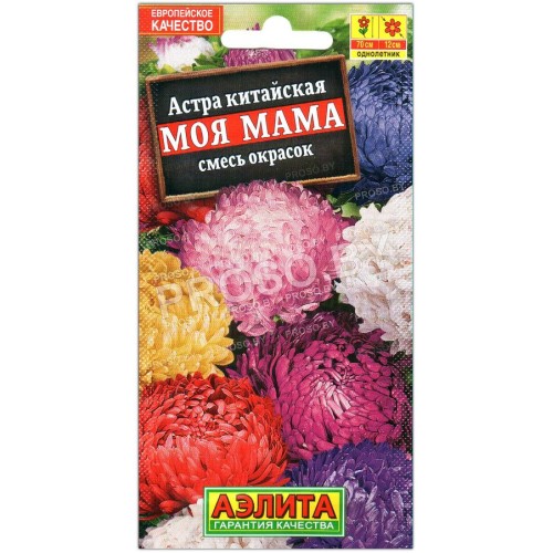 Астра китайская Моя мама, смесь