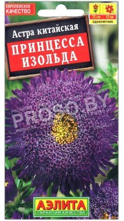 Астра китайская Принцесса Изольда