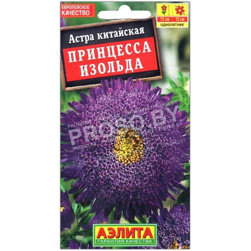Астра китайская Принцесса Изольда