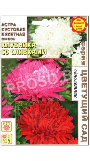 Астра Клубника со сливками, смесь