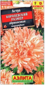 Астра Королевский размер Абрикос(овая)