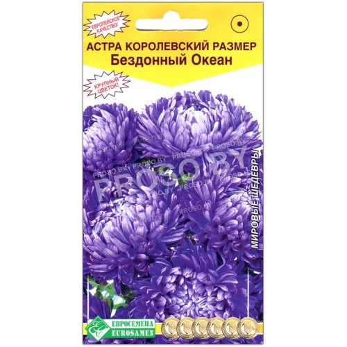 Астра Королевский размер бездонный океан