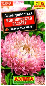Астра Королевский размер Яблоневый цвет