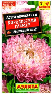 Астра Королевский размер Яблоневый цвет