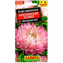 Астра Королевский размер Яблоневый цвет