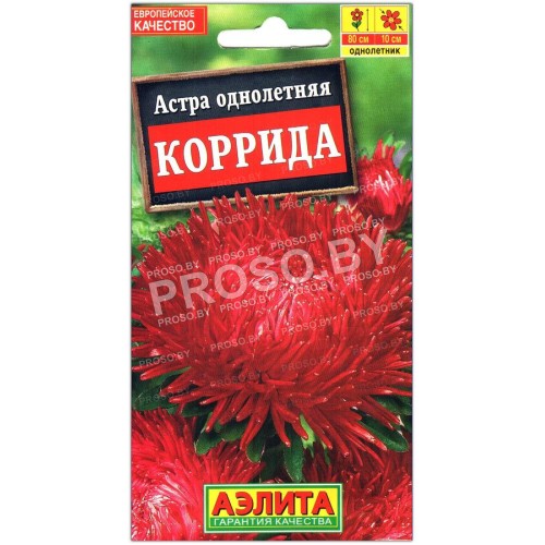 Астра Коррида