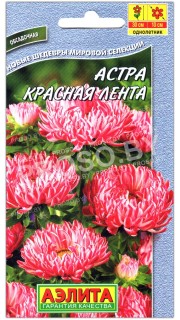 Астра Красная лента