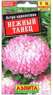 Астра Нежный танец