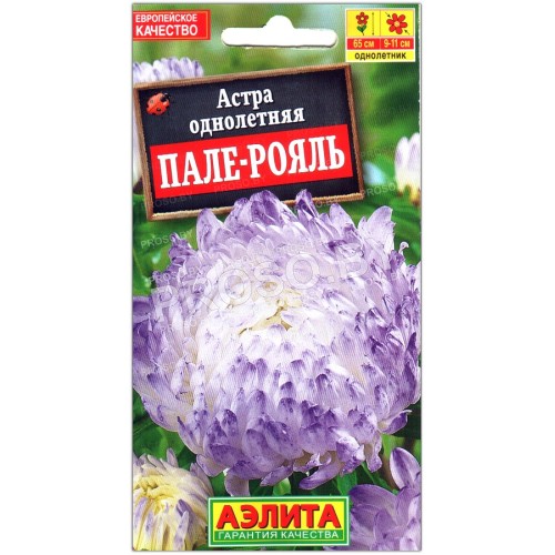 Астра Пале-рояль