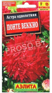 Астра Понте веккио