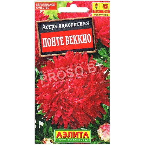 Астра Понте веккио