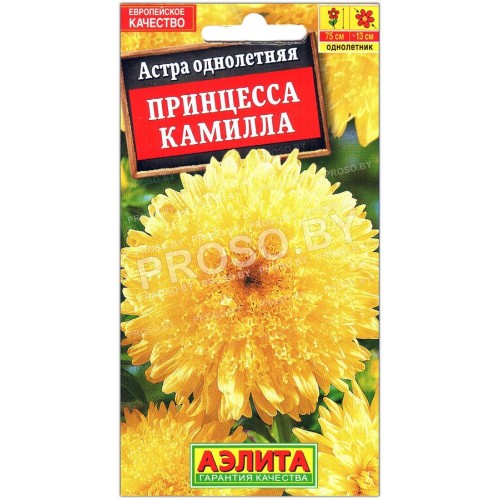 Астра Принцесса Камилла