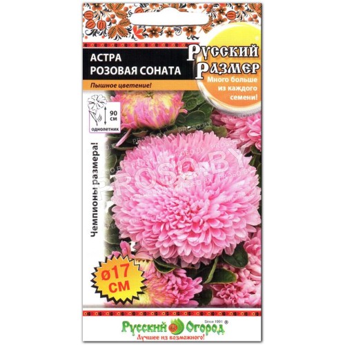 Астра Русский Размер розовая Соната