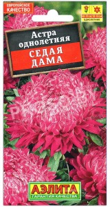 Астра Седая дама