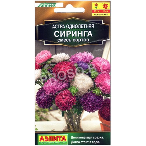 Астра Сиринга, смесь