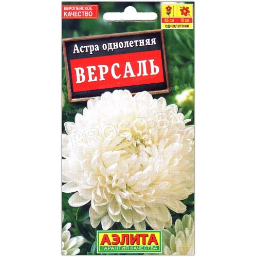 Астра Версаль