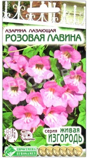 Азарина лазающая Розовая лавина