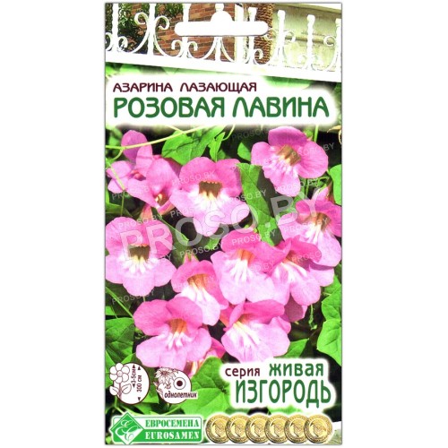 Азарина лазающая Розовая лавина
