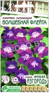 Азарина лазающая Волшебная флейта