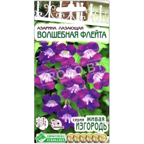 Азарина лазающая Волшебная флейта