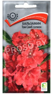 Бальзамин Том самб салмон