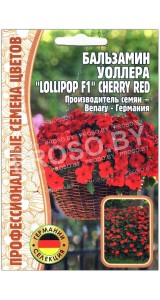 Бальзамин Уоллера Lollipop cherry red F1