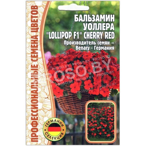 Бальзамин Уоллера Lollipop cherry red F1