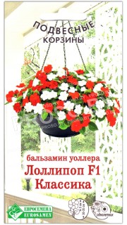 Бальзамин уоллера Лоллипоп классика F1