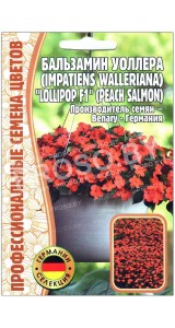Бальзамин Уоллера Lollipop peach salmon F1