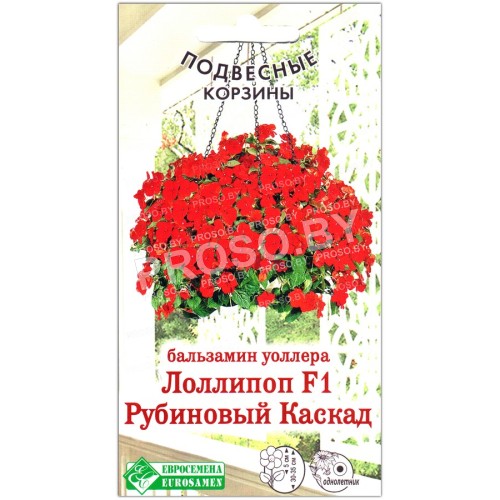 Бальзамин уоллера Лоллипоп рубиновый каскад F1