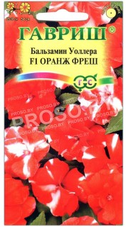 Бальзамин Уоллера Оранж фреш F1