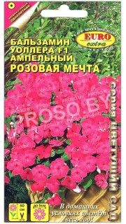 Бальзамин Уоллера Розовая мечта F1