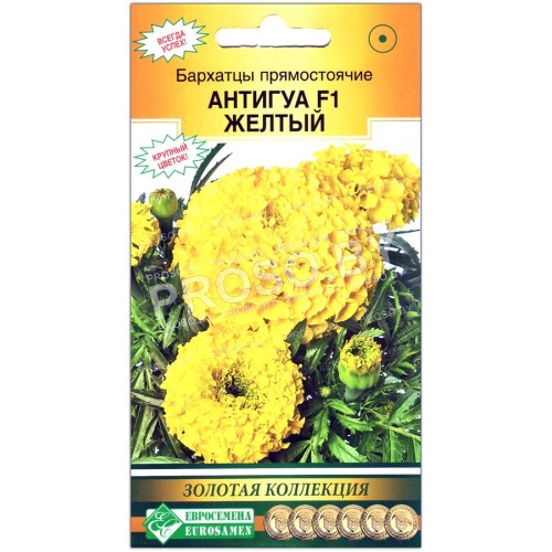 Бархатцы прямостоячие Антигуа желтый F1-1
