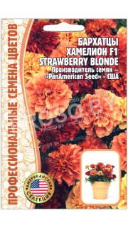 Бархатцы Хамелеон strawberry blonde F1