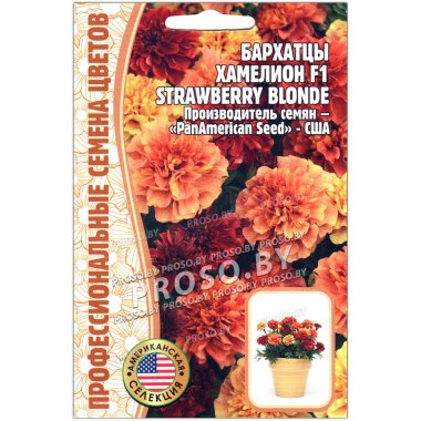 Бархатцы Хамелеон strawberry blonde F1