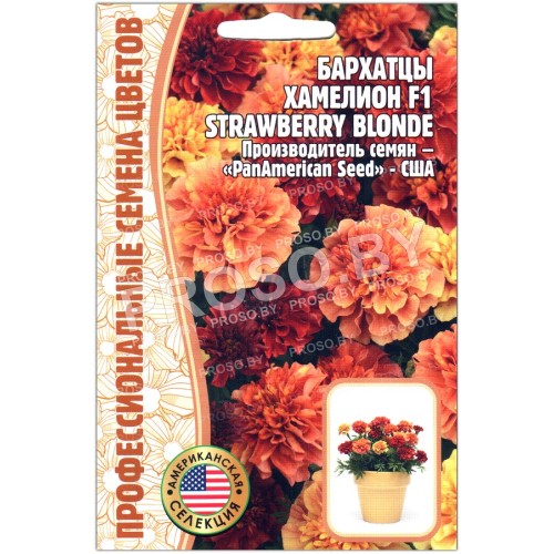 Бархатцы Хамелеон strawberry blonde F1