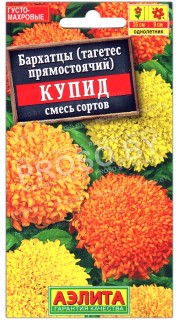 Бархатцы Купид, смесь