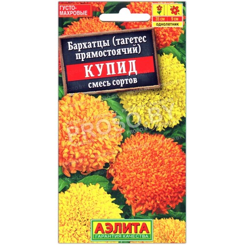 Бархатцы Купид, смесь