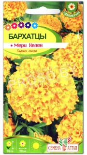 Бархатцы Мери Хелен