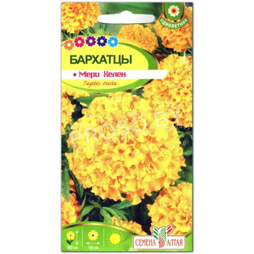 Бархатцы Мери Хелен
