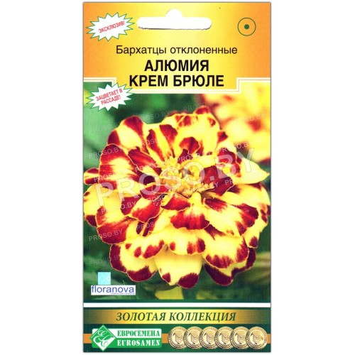 Бархатцы отклоненные Алюмия крем брюле